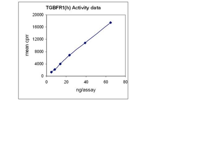 TGFBR-1 Protein, active, 10 μg