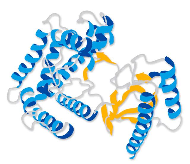 FGFR1 (V561M) Protein, active, 10 μg