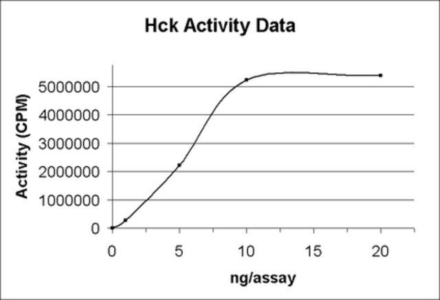 Hck Protein, active, 10 μg