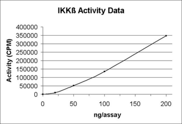 IKKβ Protein, active, 10 μg