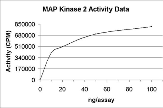 MAP Kinase 2/Erk2 Protein, active, mouse, 10 μg