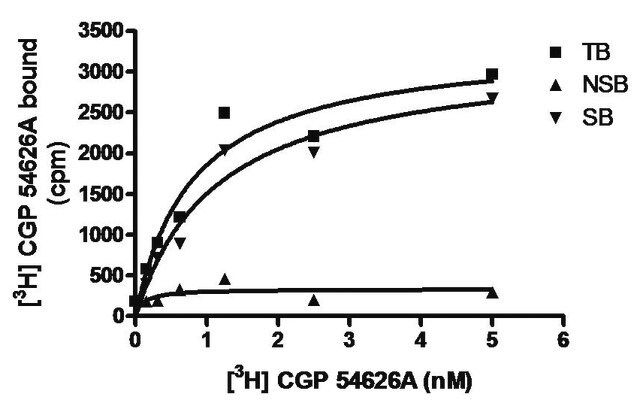 ChemiSCREEN Membrane Preparation Recombinant Human GABA<sub>B1b</sub>/GABA<sub>B2</sub> Receptor