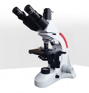 TL2650生物显微镜图片