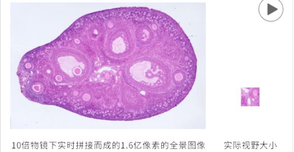 图像拼接视频.png