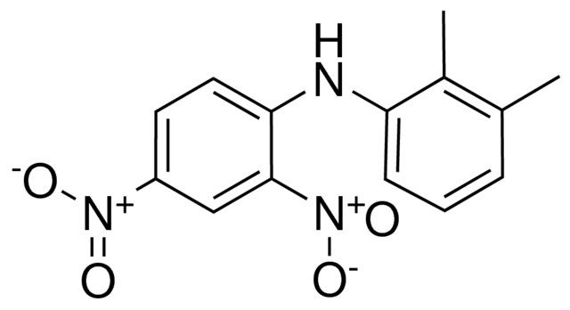 <i>N</i>-(2,4-Dinitrophenyl)-2,3-dimethylaniline