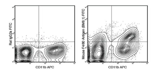 Anti-F4/80 (mouse), FITC, clone BM8.1 Antibody