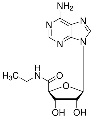 5′-(N-Ethylcarboxamido)adenosine