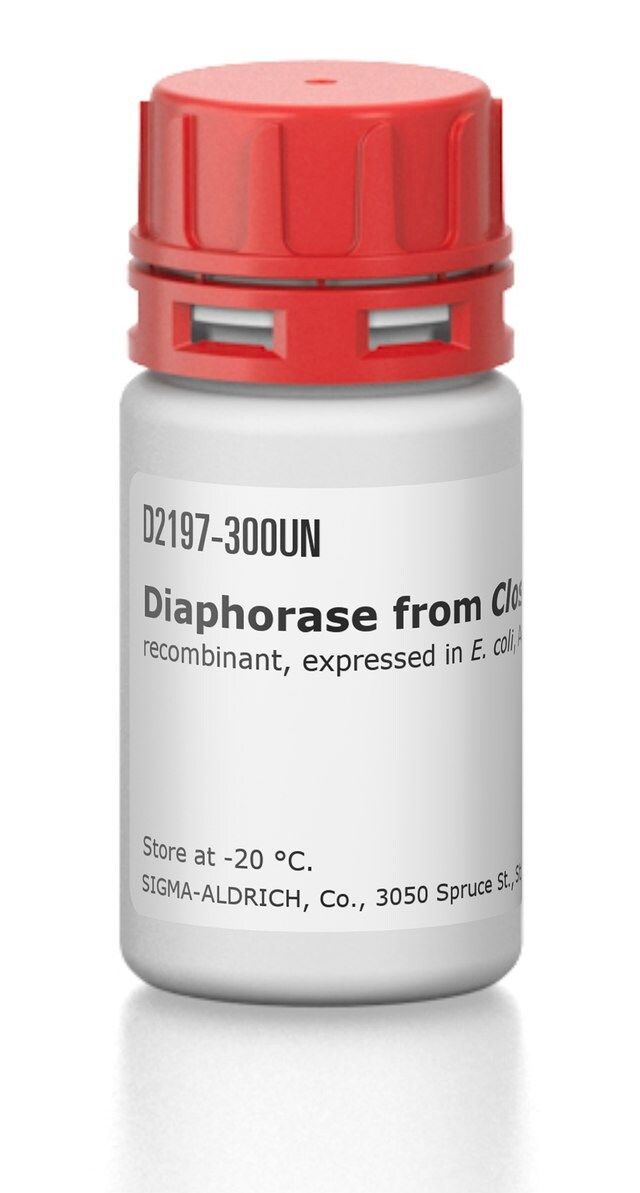 Diaphorase from <i>Clostridium kluyveri</i>