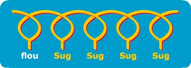 6-suLacdiNAc-C3-PAA-fluo
