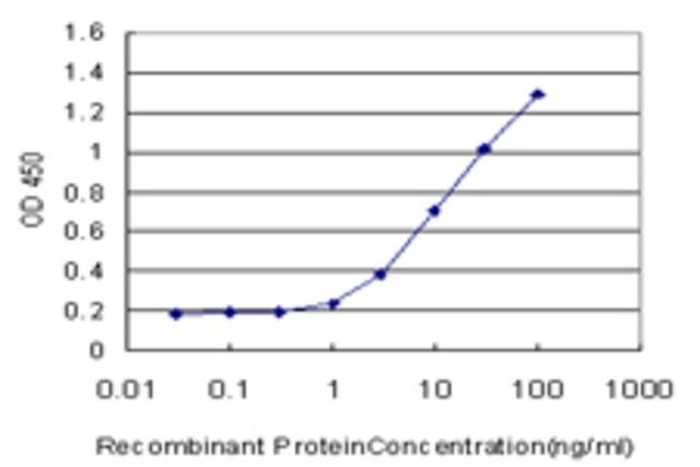 Monoclonal Anti-MRPS27 antibody produced in mouse
