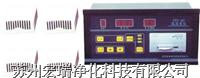 RSY-20(40)温湿度仪图片