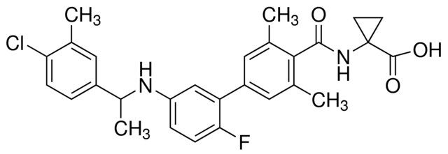 Ex26