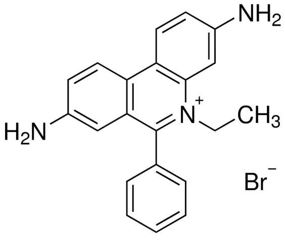 Ethidium bromide solution