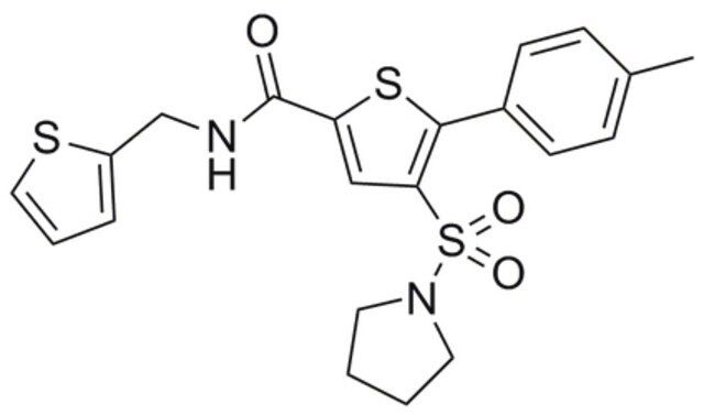 STAT3 Inhibitor XVI-Calbiochem