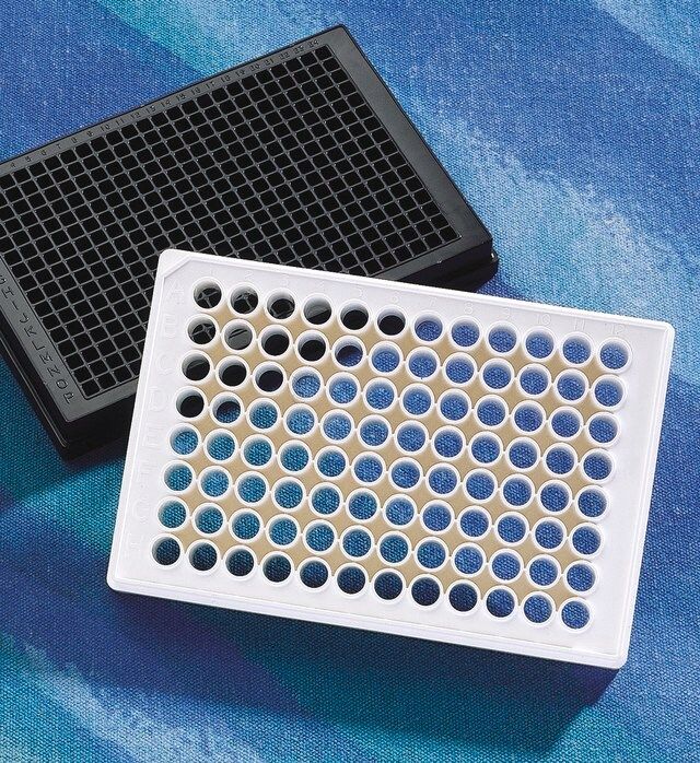 Corning<sup>®</sup> 96 Well Poly-D-Lysine Treated Microplate