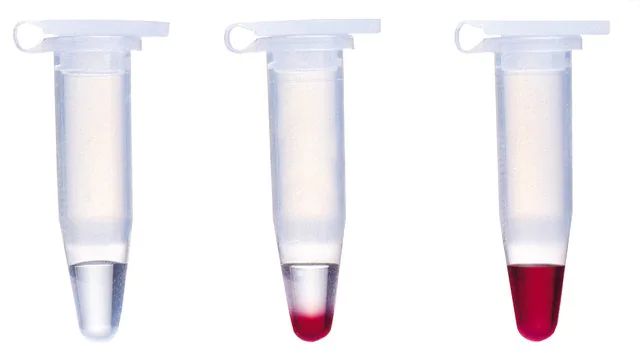 REDAccuTaq<sup>®</sup> LA DNA Polymerase