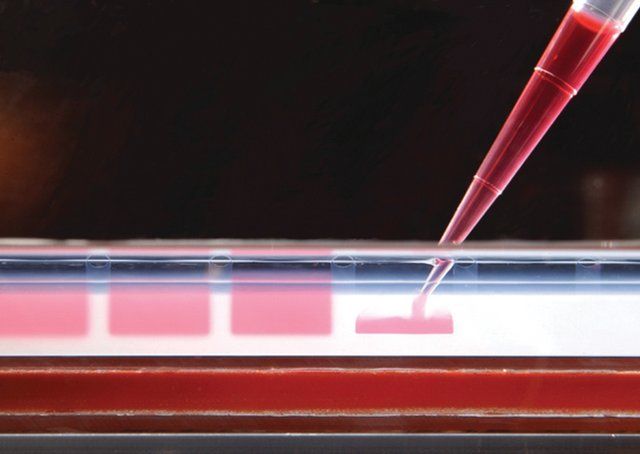 JumpStart<sup>TM</sup> REDAccuTaq<sup>®</sup> LA DNA Polymerase