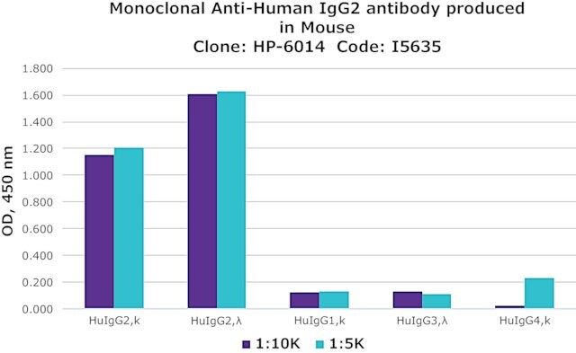 Monoclonal Anti-Human IgG2 antibody produced in mouse