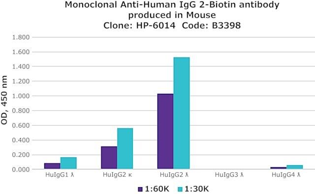 Anti-Human IgG2-Biotin antibody, Mouse monoclonal antibody produced in mouse