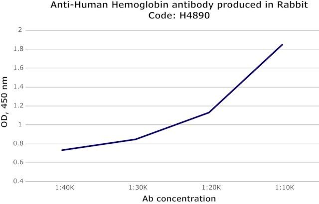 Anti-Human Hemoglobin antibody produced in rabbit
