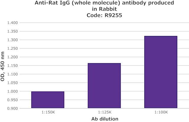 Anti-Rat IgG (whole molecule) antibody produced in rabbit
