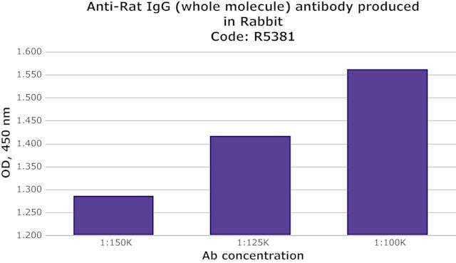 Anti-Rat IgG (whole molecule) antibody produced in rabbit
