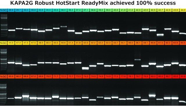 KAPA2G Robust PCR Kit
