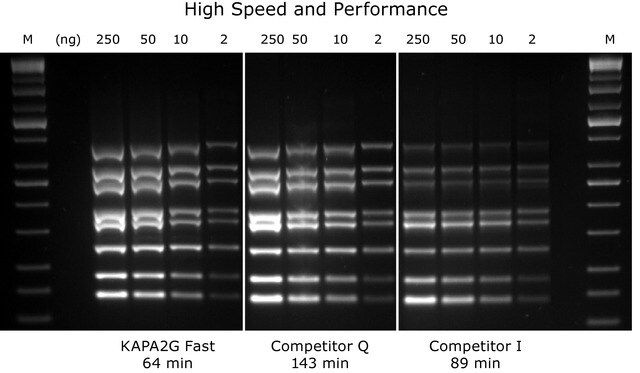 KAPA2G Fast Multiplex Mix