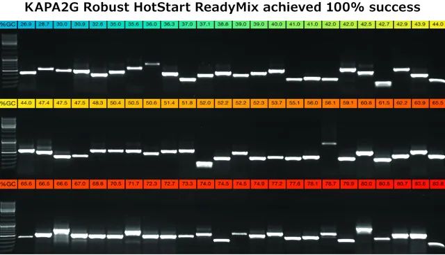 KAPA2G Robust HotStart ReadyMix