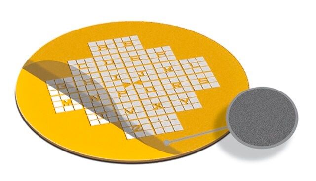 Carbon Film Supported Gold Gilder Finder F2 Grids