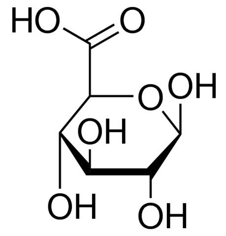 <sc>D</sc>-Glucuronic acid