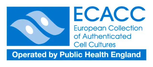 EMJ human cell line