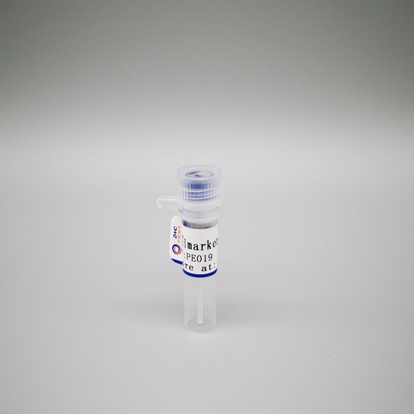 彩虹蛋白分子量标准(10-180KD)图片