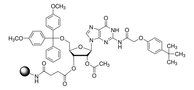 DMT-rG(tac)-CPG