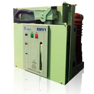 RMV1真空断路器图片