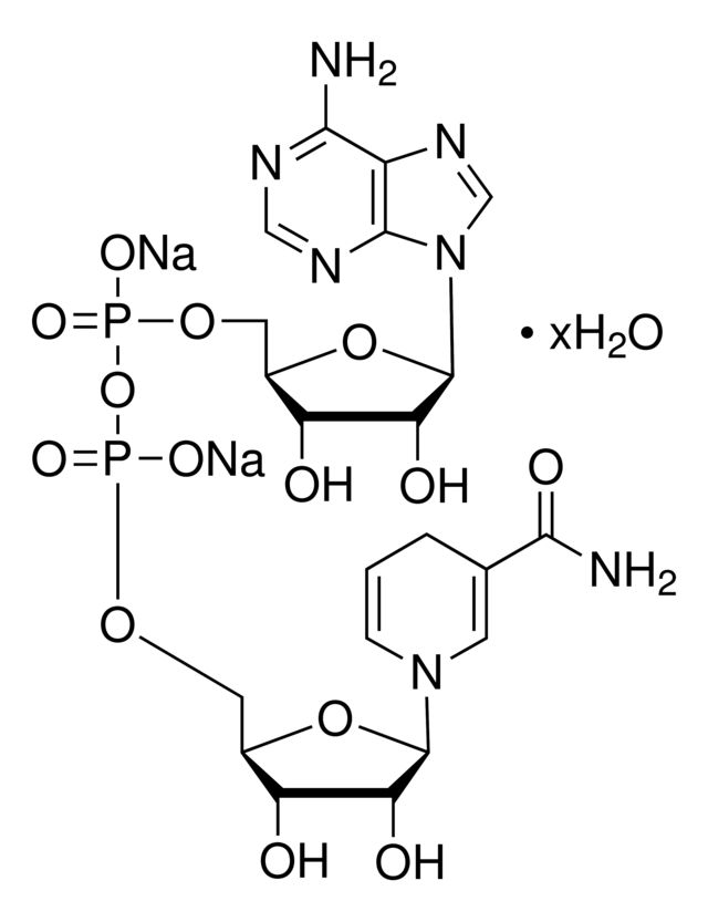 β-Nicotinamide adenine dinucleotide, reduced disodium salt hydrate