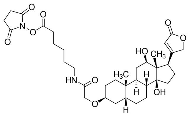 Digoxigenin NHS-ester