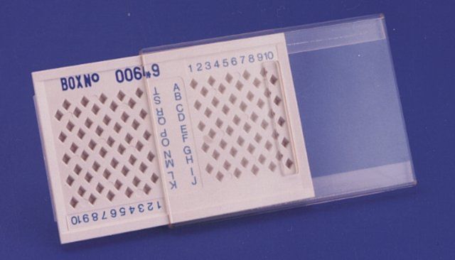 Grid storage box