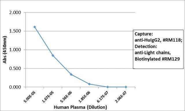 Anti-Human IgG2 antibody, Rabbit monoclonal
