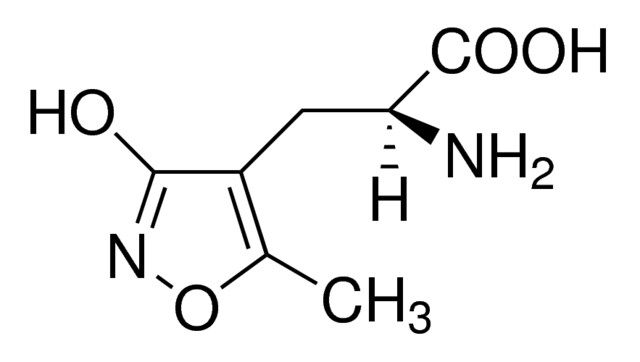 (<i>S</i>)-AMPA