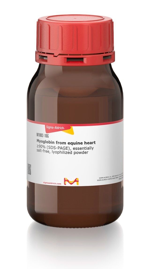 Myoglobin from equine heart