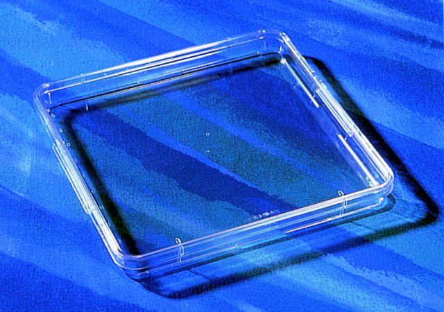 Corning<sup>®</sup> square bioassay dishes