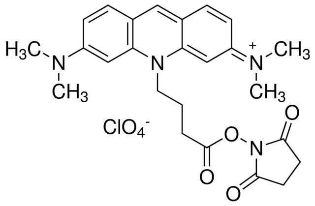 Atto 495 NHS ester