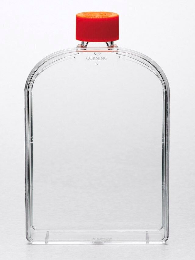 Corning<sup>®</sup> flask, canted neck, 175 cm, vented