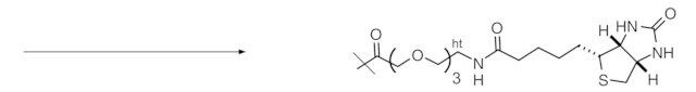 Reagent-cartridge Biotin tag-PEG<sub>3</sub>-a-COOTfp