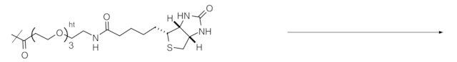 Reagent-cartridge Biotin tag-PEG<sub>3</sub>-COOTfp