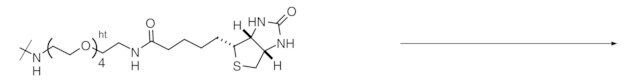 Reagent-cartridge Biotin tag-PEG<sub>4</sub>-NH<sub>2</sub>