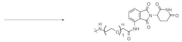 Reagent-cartridge CRBN-PEG<sub>1</sub>