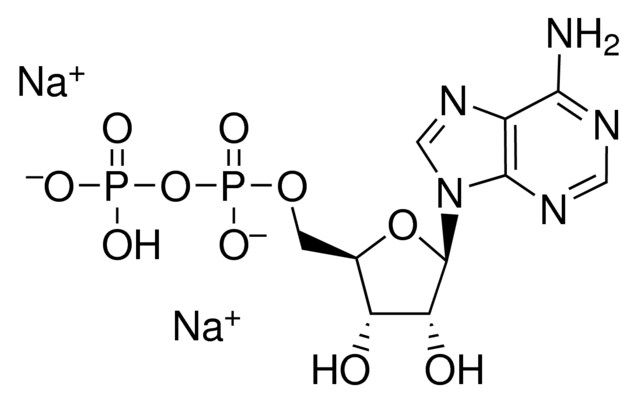 Adenosine 5′-diphosphate disodium salt