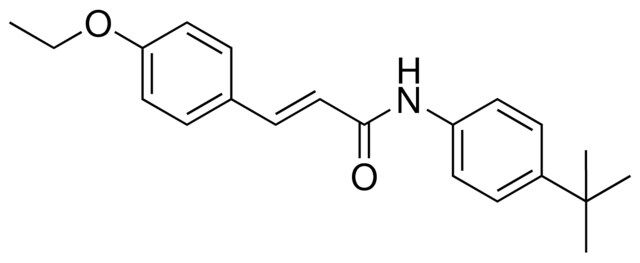 N-(4-TERT-BUTYL-PHENYL)-3-(4-ETHOXY-PHENYL)-ACRYLAMIDE